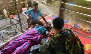 IMG-20241127-WA0014(1)