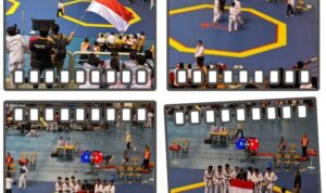 Screenshot_20241208_190811