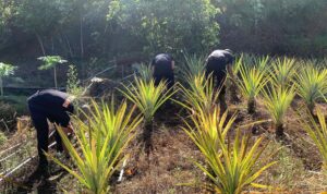IMG-20260523-WA0065
