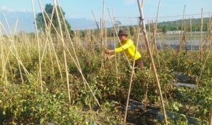IMG-20260610-WA0068
