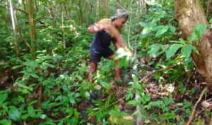 IMG-20260720-WA0051